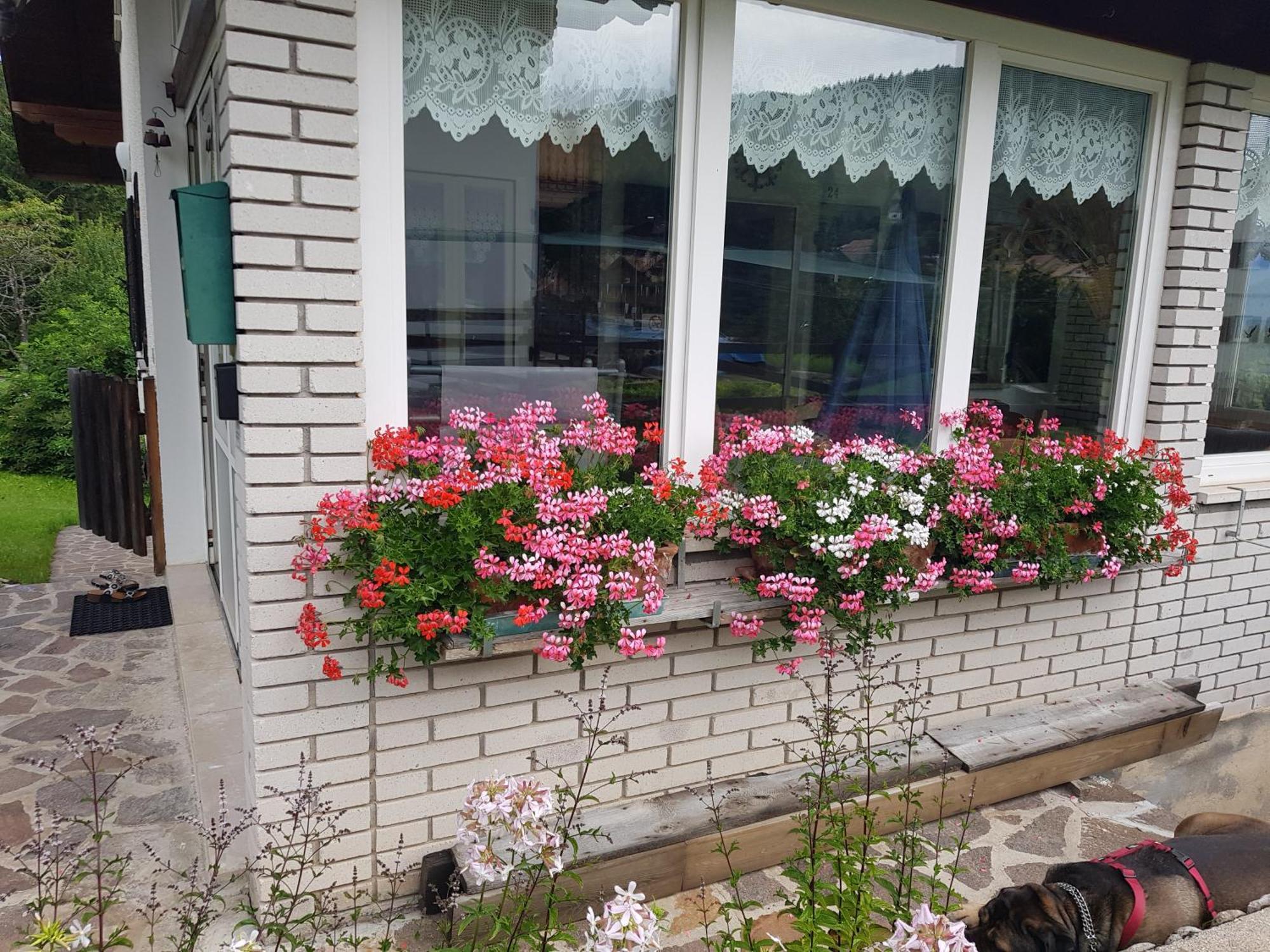 Chalet Heidi Serrada المظهر الخارجي الصورة